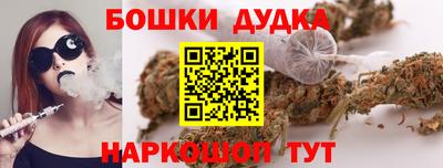 гидропоника Дубна