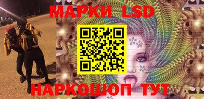 гидропоника Дубна